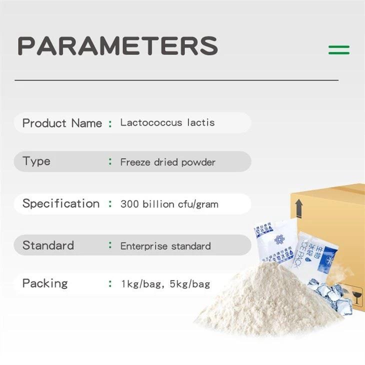 parameter-Lactococcus-lactis-powder-2