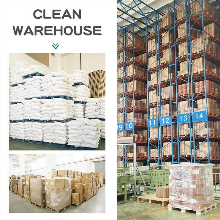 Lactococcus-lactis-powder-warehouse-4